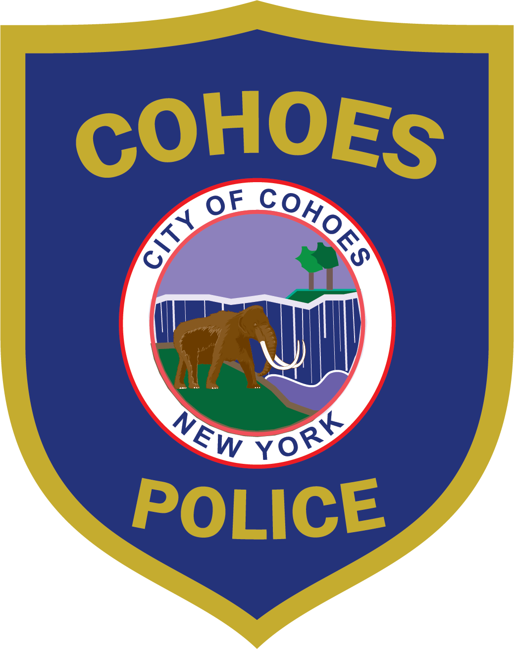 Agency Patch